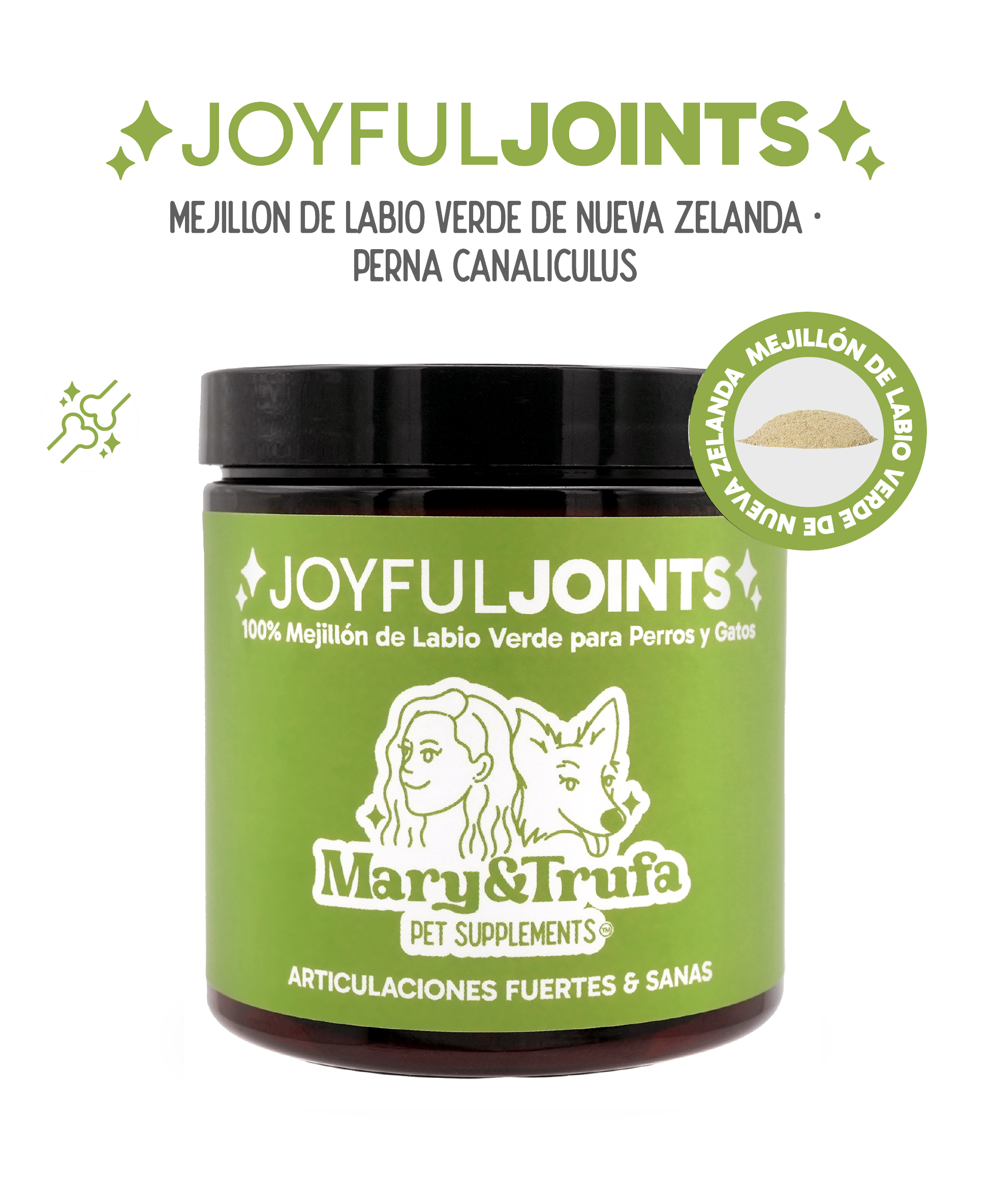 Joyful_Bullets_Titular